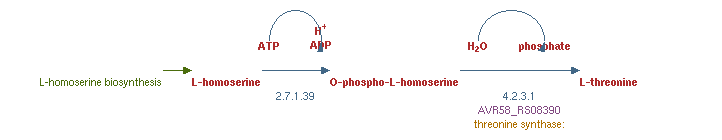 Np image