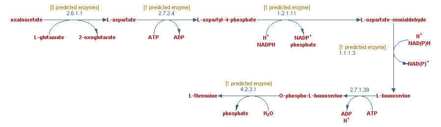 Np image